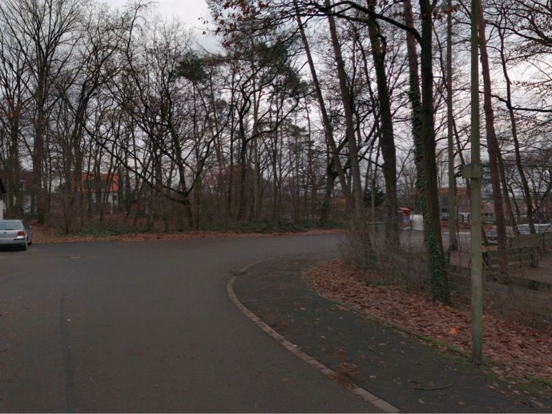 Eine kurvige Straße führt durch eine herbstliche Parklandschaft mit kahlen Bäumen und Laub auf dem Boden, am linken Rand steht ein geparktes Auto.