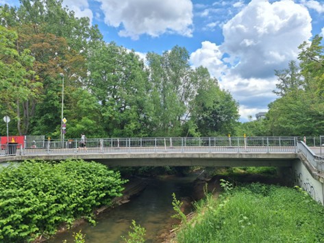 Eine Brücke mit Bäumen und einer auf der Brücke laufende Person.