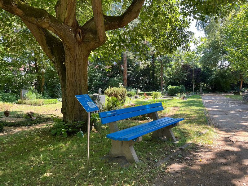 Blaue Sitzbank
