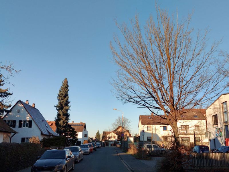 Eine ruhige Wohnstraße mit mehrere Autos am Straßenrand, links und rechts sind Einfamilienhäuser zu sehen, ein großer, kahler Baum ragt am rechten Bildrand in den blauen Himmel.
