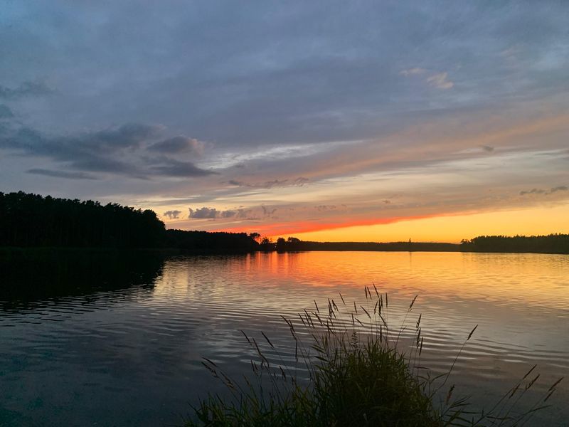 Ein See mit Bäumen im Dunkeln. 