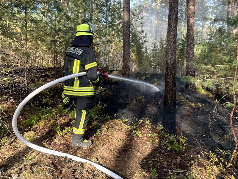 Ein Feuerwehrmann steht im Wald und löscht ein Feuer.