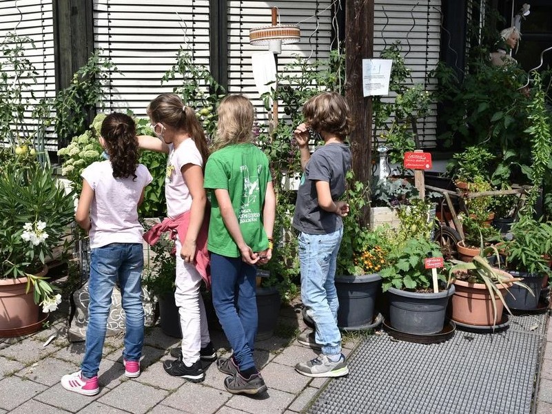 Vier Kinder betrachten gemeinsam verschiedene Pflanzen in Töpfen, die auf einem Gehweg vor einem Gebäude stehen.