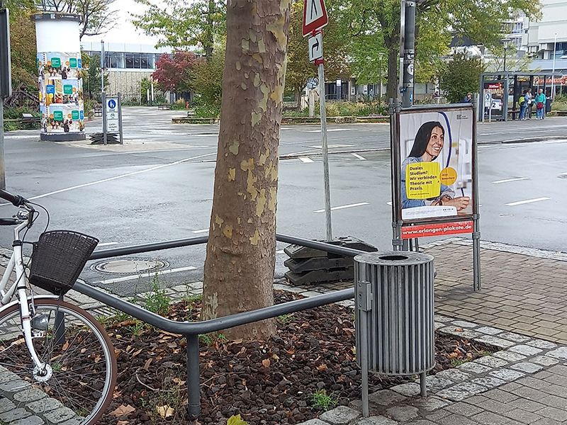 Ein Abfalleimer neben einem Baum und einem Fahrrad. 