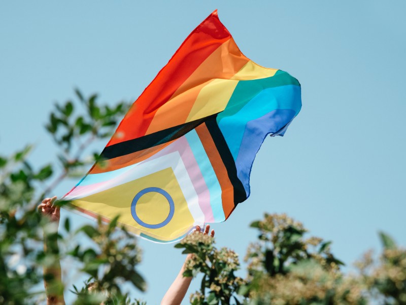Eine Person hält im Sonnenschein eine große Progress-Pride-Flagge mit Intersex-Symbol über grünem Laub und vor blauem Himmel in die Luft.