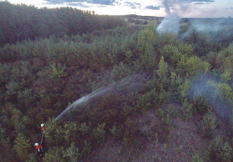 Blick von oben auf einen Waldbrand und zwei Feuerwehrmänner beim Löschen.
