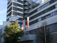 Town hall with flags