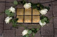 Stolpersteine mit weißen Rosen in Erlangen.