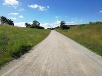 Holzweg - geschützer Landschaftsbestandteil