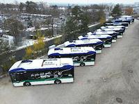 Seven buses are parked next to each other.