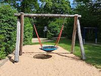 Nest basket swing