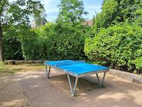 Table tennis table