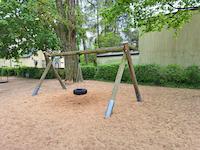 Tire swing