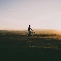 A lone cyclist rides through fields at sunset.