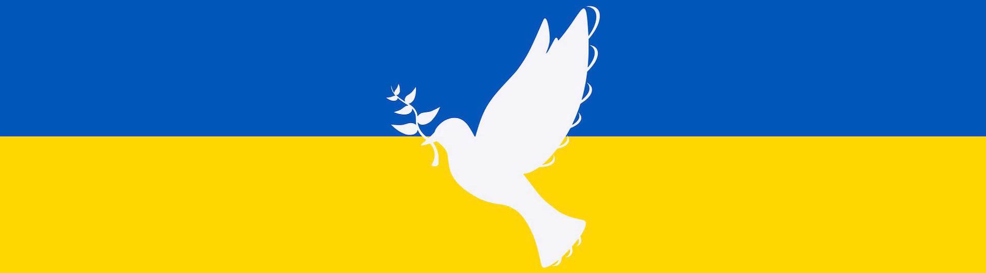 Ukraine Flagge mit weißer Friedenstaube.