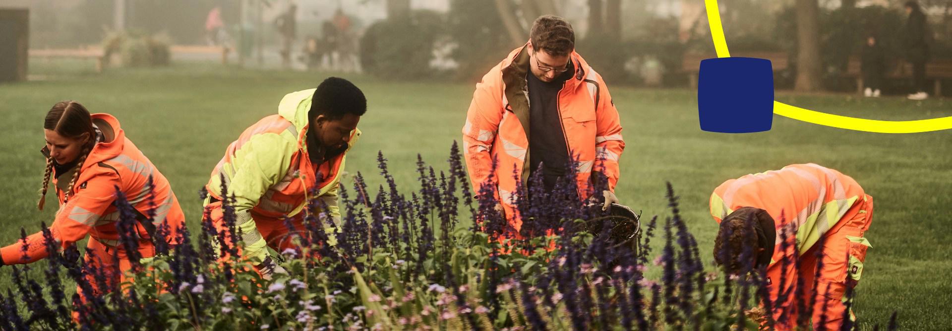 Gärtner*innen bei der Pflege von Parkanlagen.